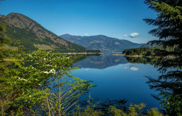 Picture trees, mountains, lake, Canada, Upper Campbell Lake, Strathcona Park