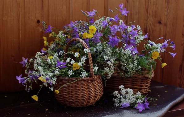 Summer, still life, bells, buttercups, flora, wildflowers, the Aegopodium grass