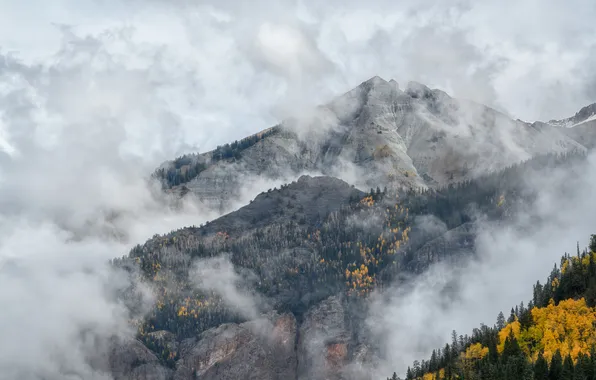 Autumn, forest, the sky, mountains, fog, the slopes, tops, view