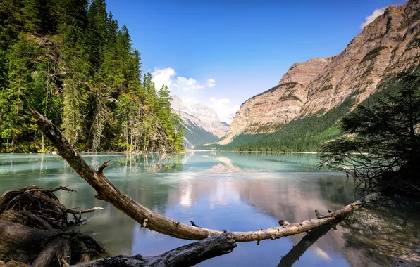 Clouds, trees, mountains, reflection, rocks, Canada, Canada, the reflection in the water