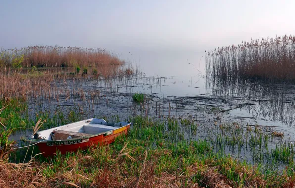 Picture fog, boat, Poland, Lake Turawskie