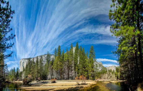 Cloudy, Day, Yosemite National Park