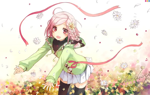 Chamomile, petals, meadow, jacket, tape, red, art, pink hair