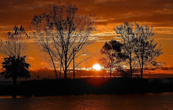 Picture the sky, the sun, clouds, trees, sunset, silhouette, pond