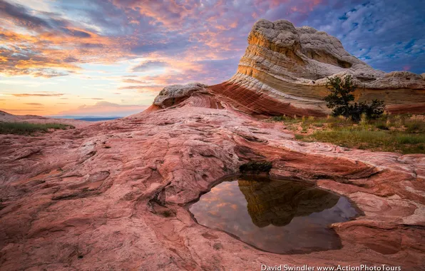 Nature, reflection, rocks, puddle