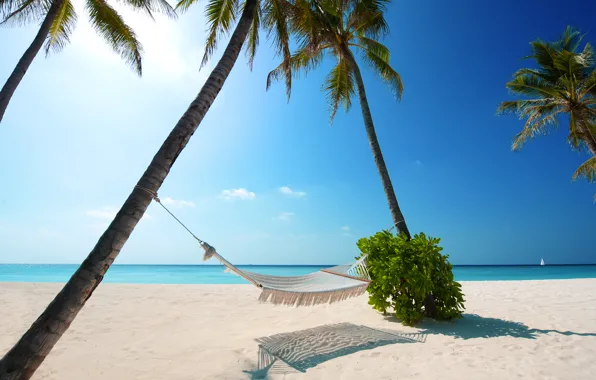 Beaches, boat, white sand, green plant, Palm trees, Hammock