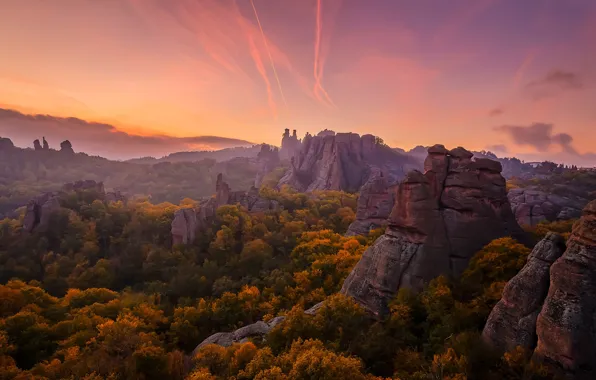 Autumn, forest, the sky, clouds, trees, landscape, mountains, nature