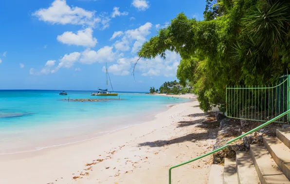 Picture beach, the ocean, beach, ocean, Caribbean, caribbean, saint-peter