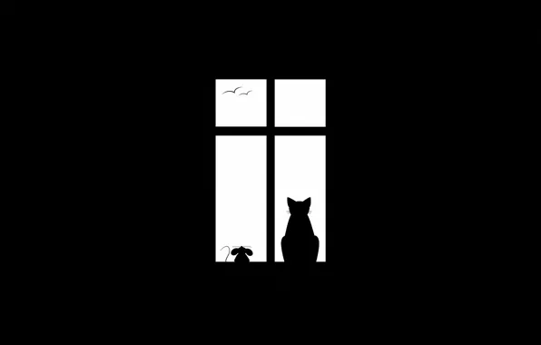 Cat, birds, minimalism, mouse, window, friends, Friendship