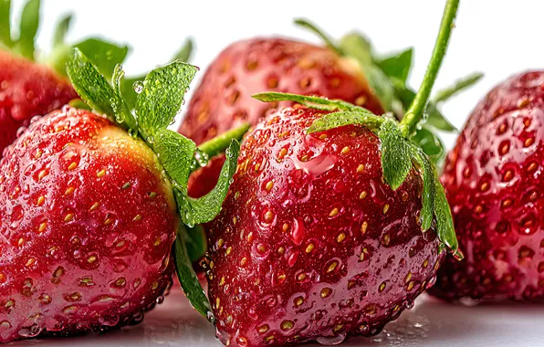 Drops, macro, berries, Shine, strawberry, white background, ripe, juicy