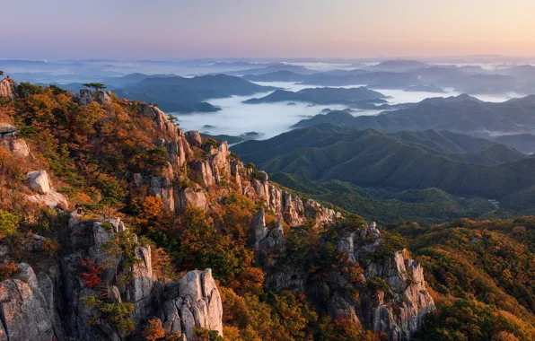 Picture forest, landscape, South Korea, rocks, fog, hills, Daejeon, Nathaniel Merz