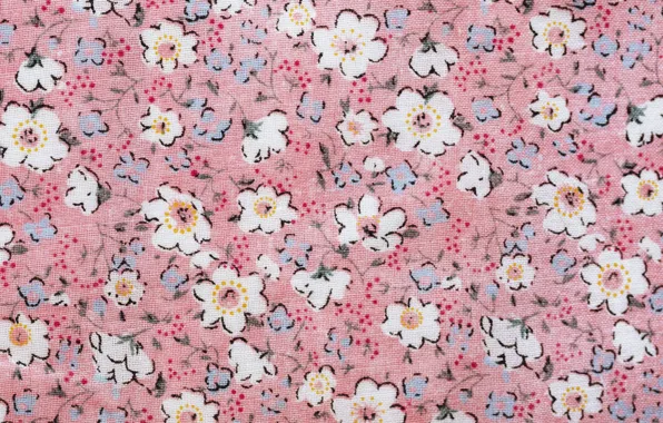 With, background, roses, Pretty, floral, textile, daises