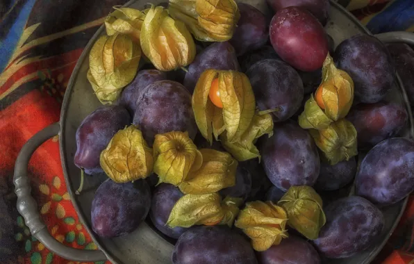 Fruit, plum, physalis