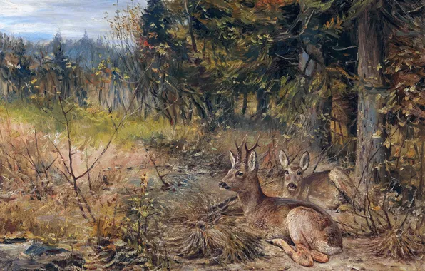 Grass, Trees, Picture, Two, German artist, Wilhelm Lorenz, Wilhelm Lorenz, Roe deer