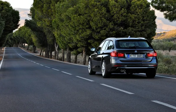 Picture road, trees, BMW, BMW, rear view, universal, 3 Series, Touring