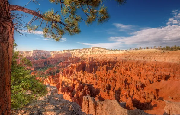 Picture the sky, nature, Utah, Bryce canyon, veetka