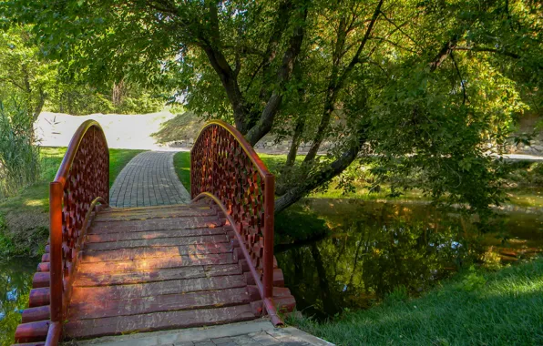 Picture Trees, Pond, Summer, Park, Nature, Bridge, Park, Summer