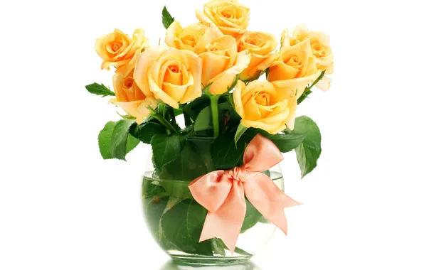 Flowers, roses, bouquet, vase, orange, bow, white background
