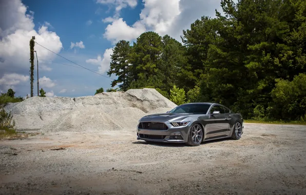 Picture Mustang, Ford, Steel, 2015