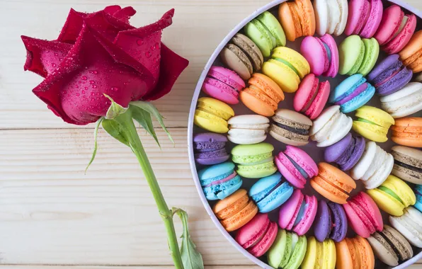 Picture flower, box, rose, box, color, dessert, candy, macaron