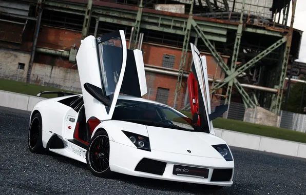 White, white, wheels, lamborghini, black, front view, tuning, murcielago