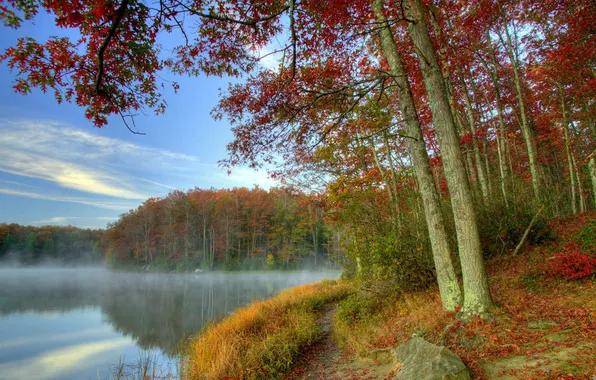 Autumn, water, fog