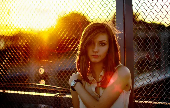 Picture LOOK, The SUN, BROWN hair, MESH, SUNSET, LIGHT, DAWN, The FENCE