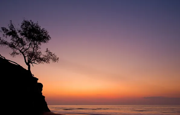 Picture sea, landscape, sunset, tree