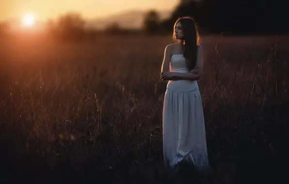 Picture field, girl, sunset