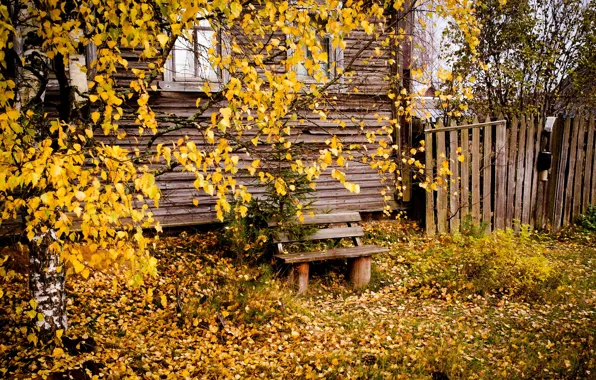 Autumn, the city, house, bench