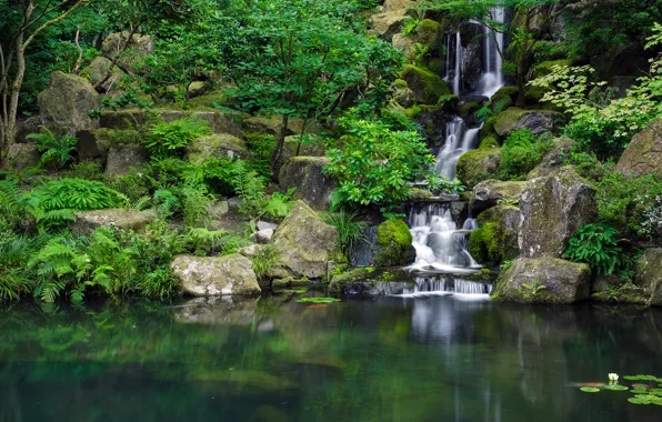 Park, stones, waterfall, pond, Japanese Garden
