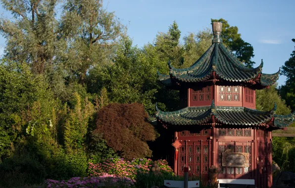 Picture Park, Belgium, Nature, Park, Belgium, Pairi Daiza, Pierre, Disa