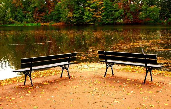 Picture autumn, trees, pond, Nature, colors, benches, trees, nature