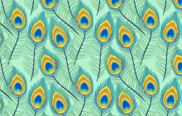 Picture background, texture, pattern, feather, peacock