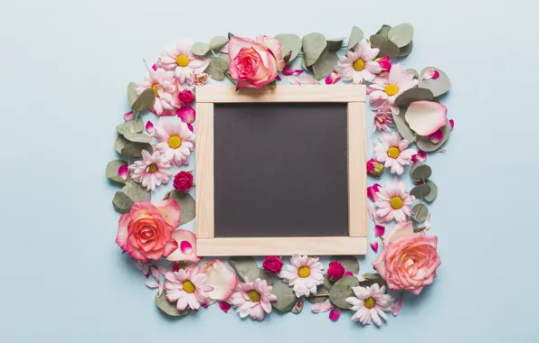 Flowers, Roses, Board, Chrysanthemum