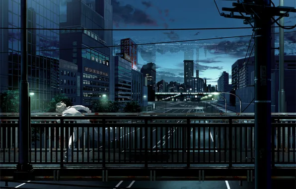 Picture the sky, clouds, bridge, the city, blood, home, the evening, anime