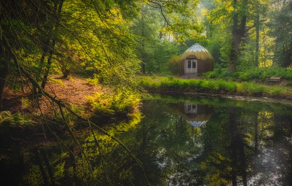 Greens, forest, summer, lake, pond, Park, reflection, shore