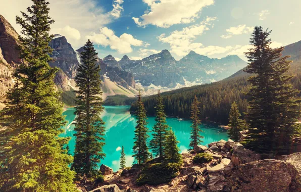 Forest, lake, Canada, landscape, lake, Banff National park, Moraine