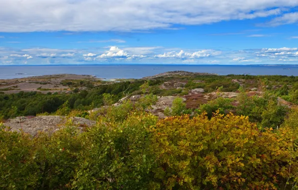 Landscape, nature, horizon, Sweden, the bushes, Gotaland, Vastra