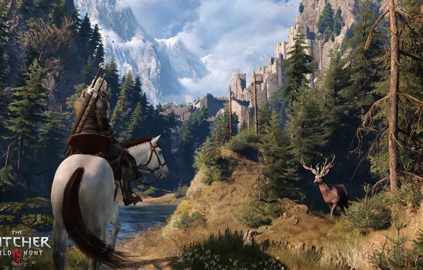 Picture forest, trees, river, horse, deer, fortress, Geralt of Rivia, top