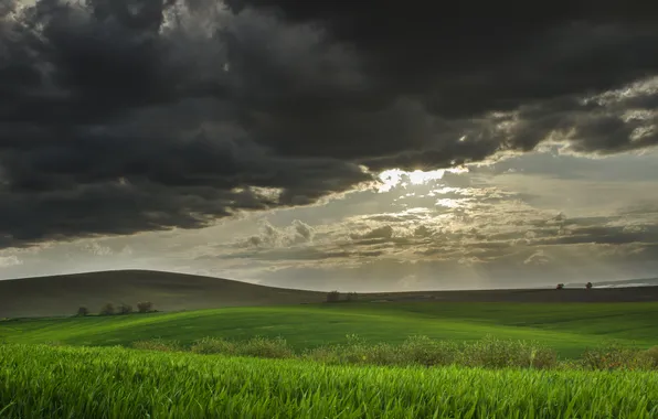 Field, hills, wheat, the storm