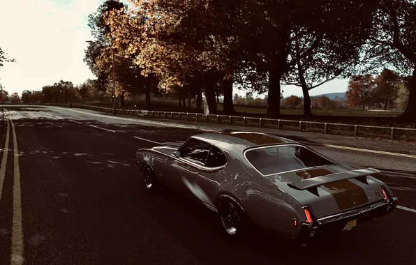 HDR, Autumn, Street, Game, Muscle Car, Trees, Leaves, Hurst