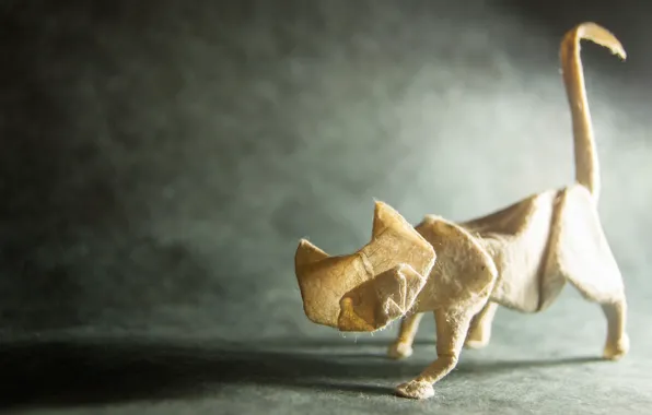 Picture cat, paper, origami