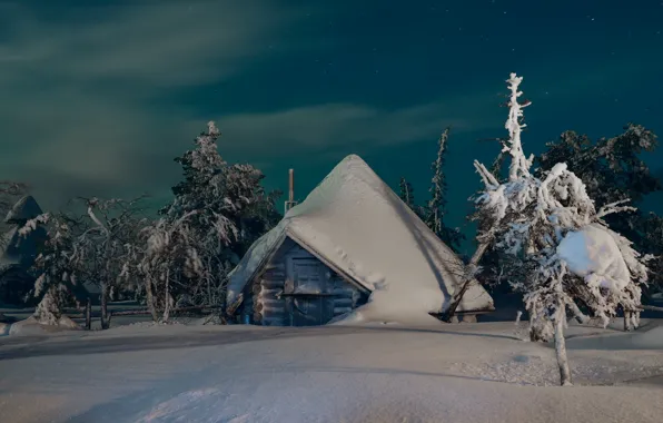 Picture winter, snow, trees, landscape, night, nature, hut, house
