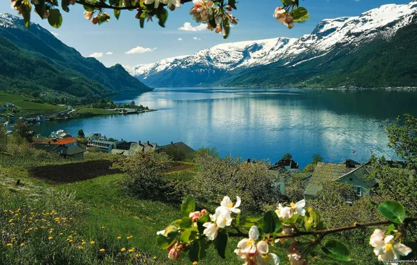 Picture the sky, grass, snow, flowers, mountains, lake, house, spring