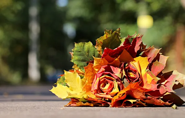 Picture flowers, light, bouquet, road, leaves, bokeh, autumn leaves, autumn