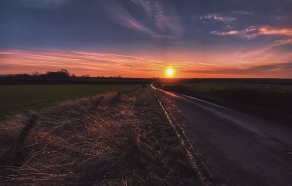 Picture road, field, sunset