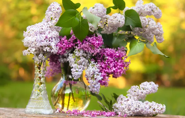 Picture bouquet, vase, lilac
