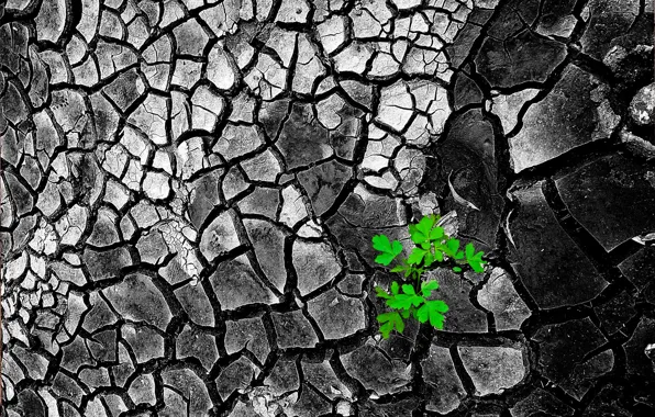 Leaves, cracked, earth, texture, relief, soil
