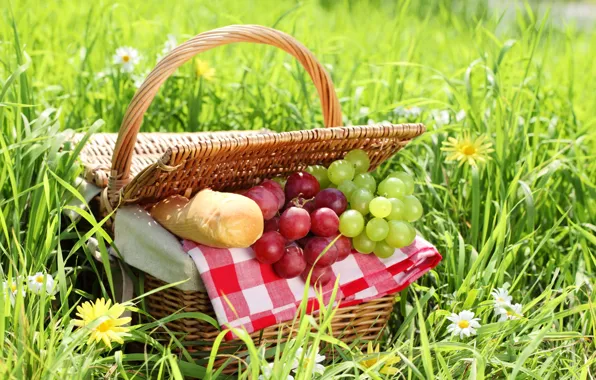 Summer, grass, basket, chamomile, bread, grapes, picnic, baton